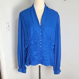 Ashro Blue Longsleeve Buttondown Blouse, Cinched Waist to Hemline, Size 14